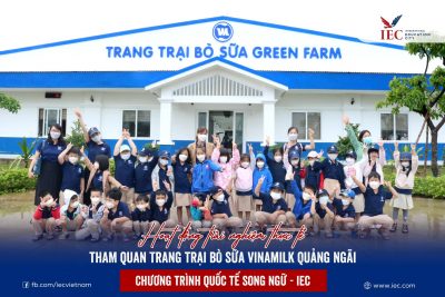 HOẠT ĐỘNG TRẢI NGHIỆM TẠI TRANG TRẠI BÒ SỮA VINAMILK QUẢNG NGÃI