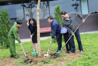 Thành phố Giáo dục Quốc tế – IEC Quảng Ngãi tổ chức “Tết trồng cây”
